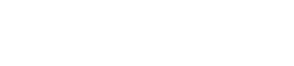 Skyvel Digital